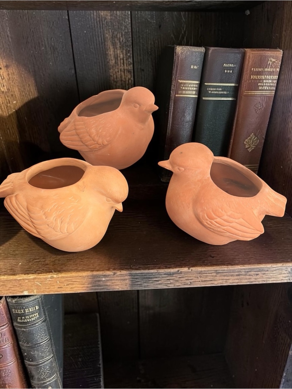 Terracotta Bird Planter - Handcrafted Decorative Pots